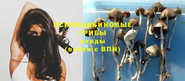 соль курить ск Алзамай